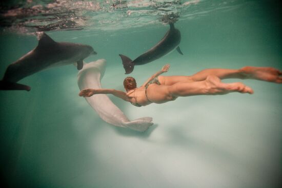 Moscow Dolphinarium