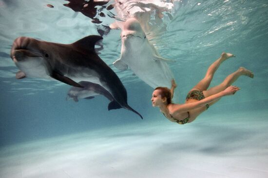 Moscow Dolphinarium