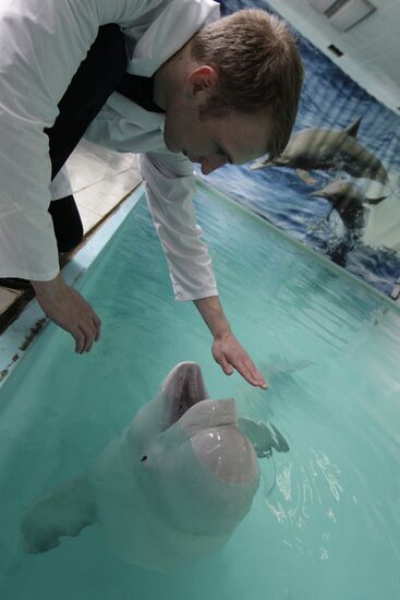 Moscow Dolphinarium