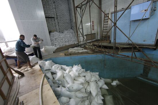 Moscow Dolphinarium