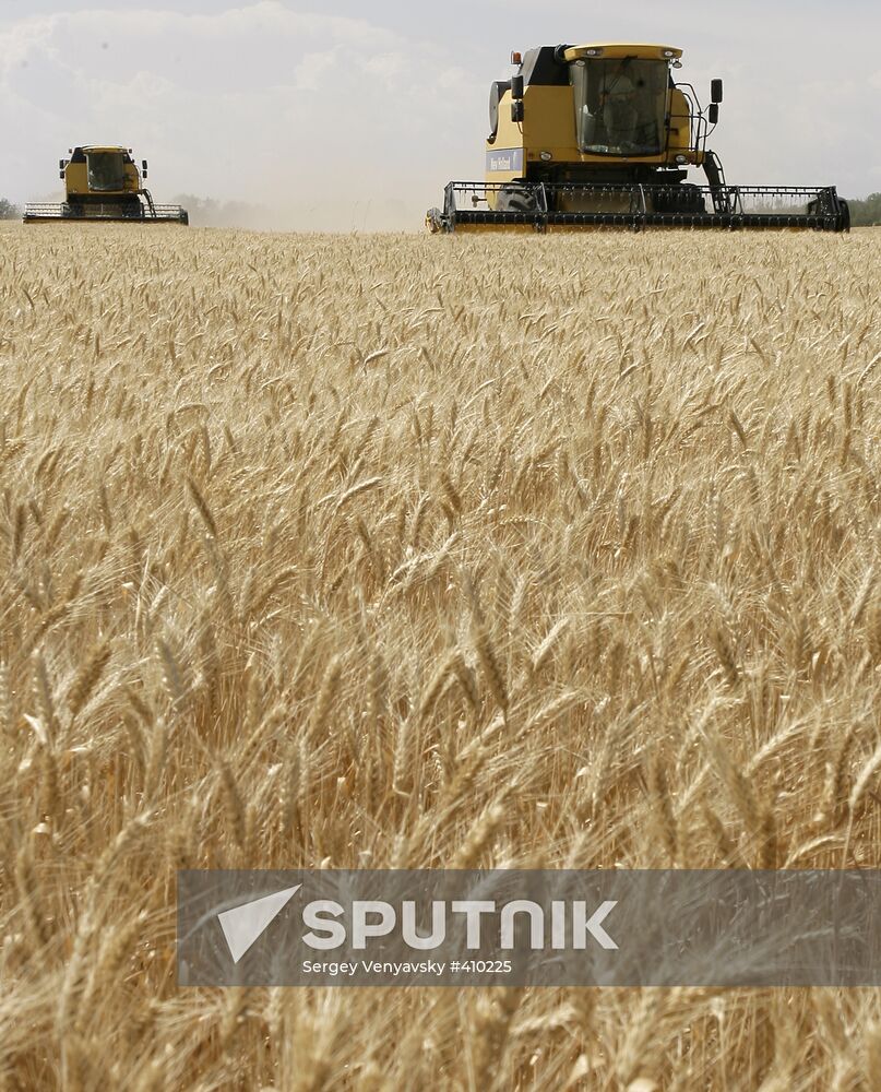 Harvest of grain crops in Rostov Region