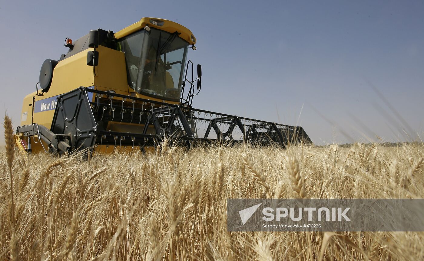 Harvest of grain crops in Rostov Region