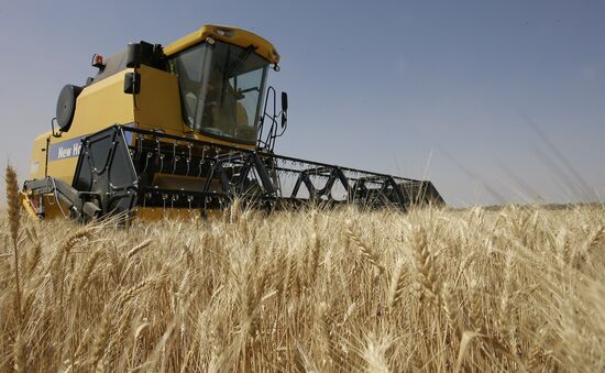Harvest of grain crops in Rostov Region