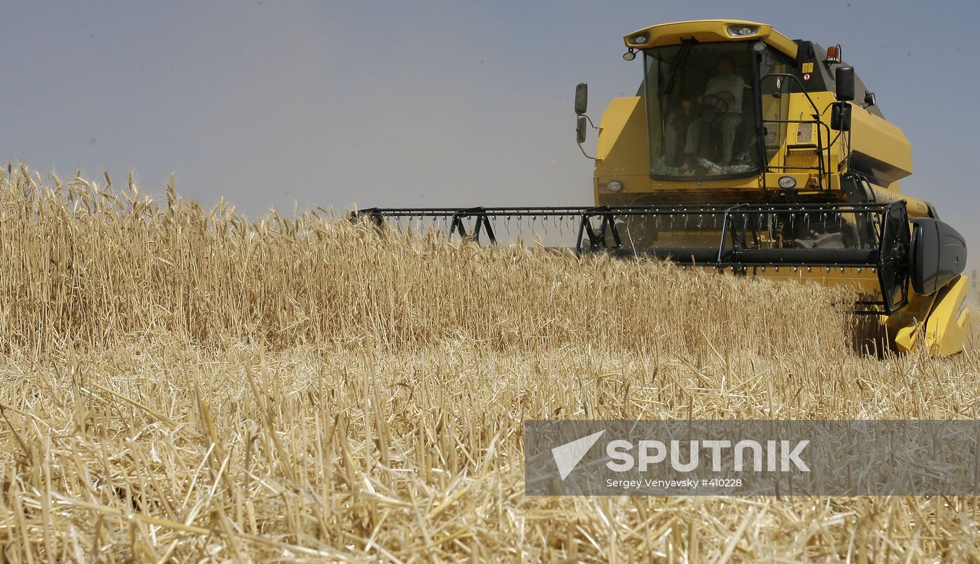 Harvest of grain crops in Rostov Region