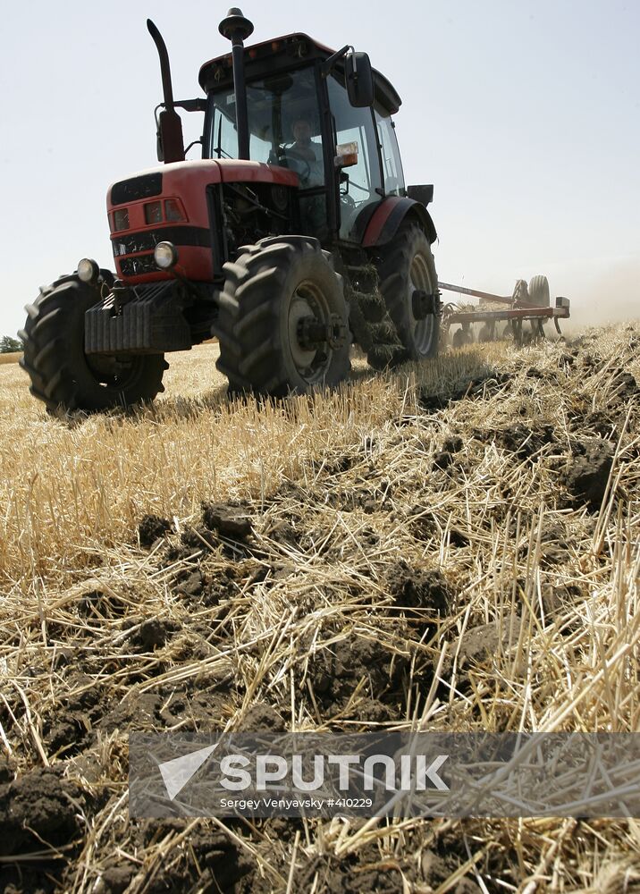 Harvest of grain crops in Rostov Region
