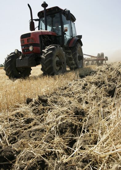 Harvest of grain crops in Rostov Region