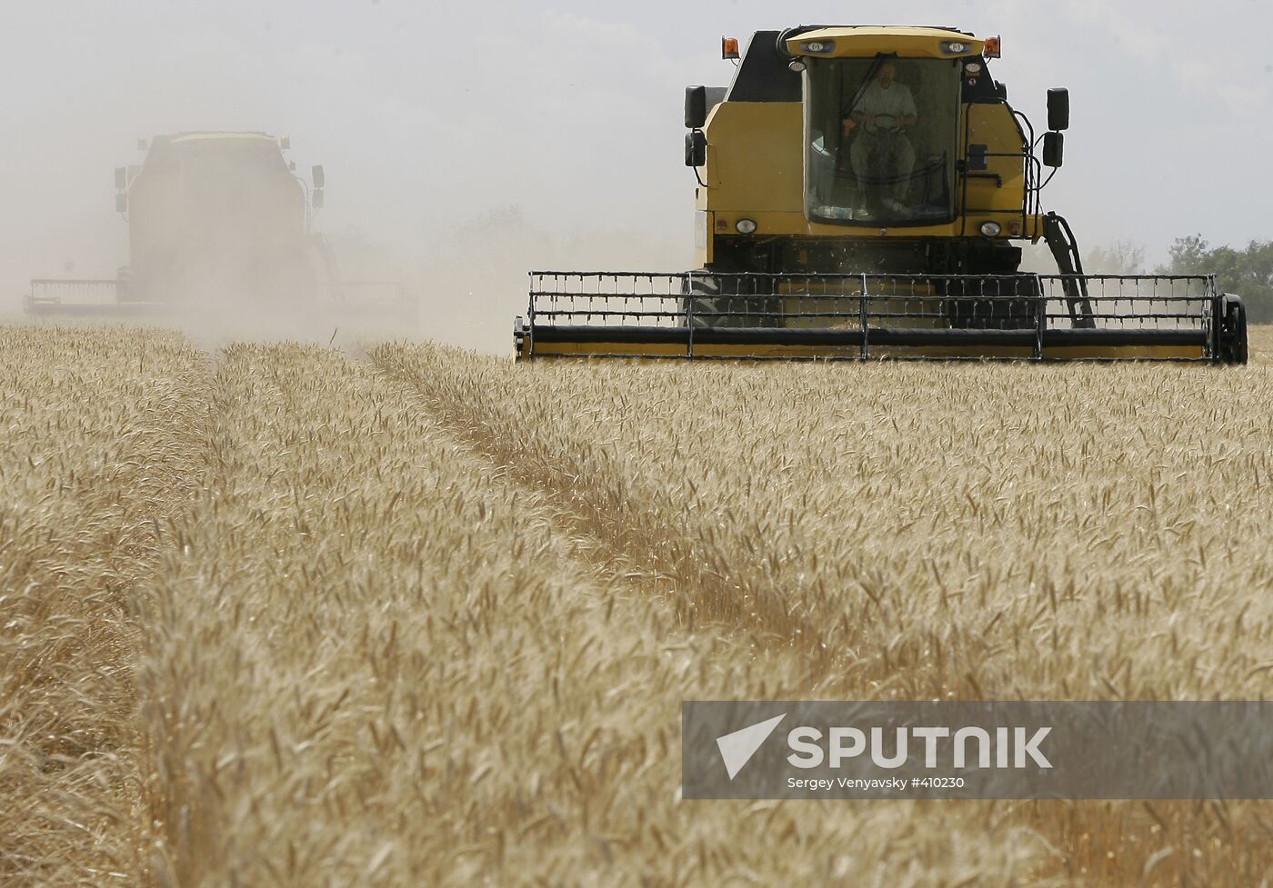 Harvest of grain crops in Rostov Region