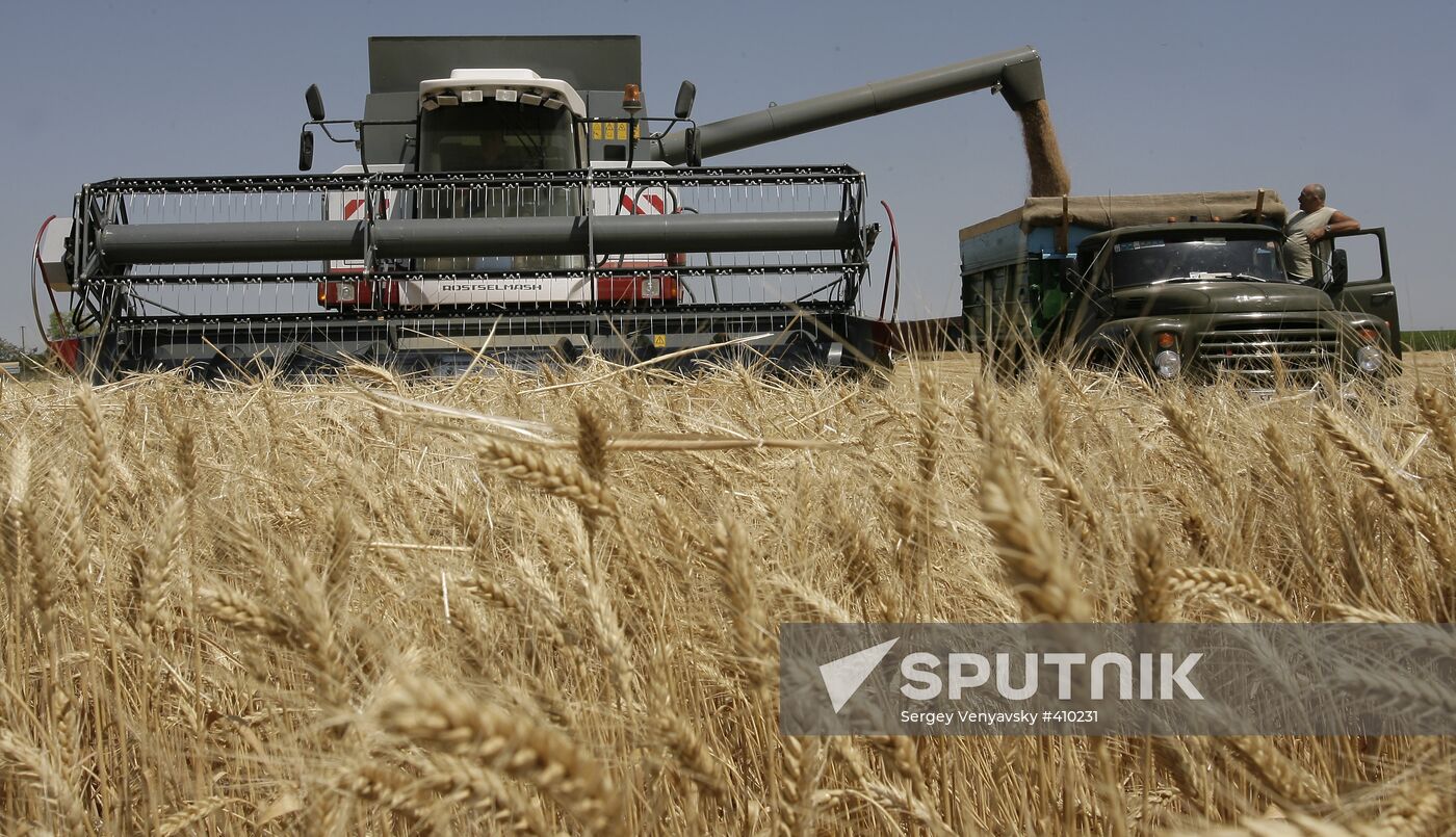 Harvest of grain crops in Rostov Region