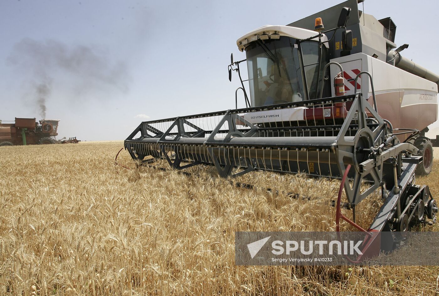 Harvest of grain crops in Rostov Region