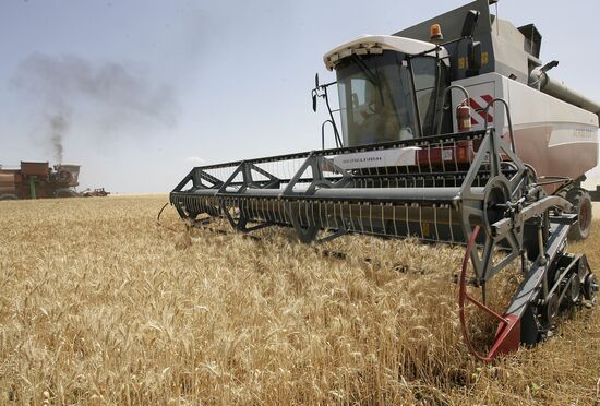 Harvest of grain crops in Rostov Region
