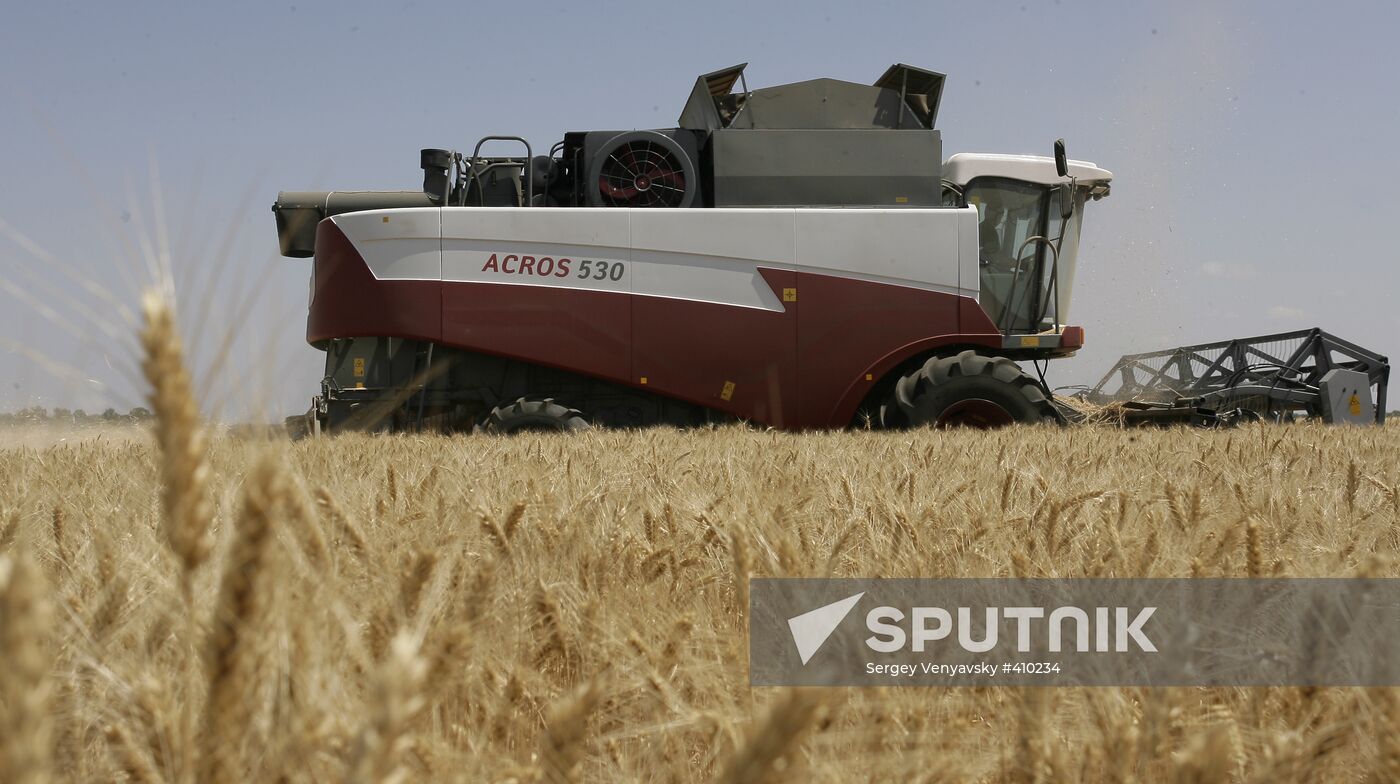 Harvest of grain crops in Rostov Region