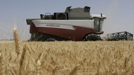 Harvest of grain crops in Rostov Region