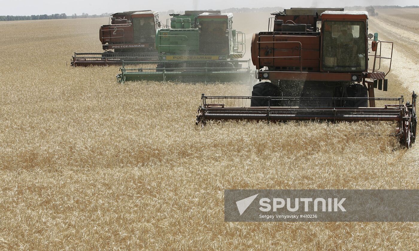 Harvest of grain crops in Rostov Region