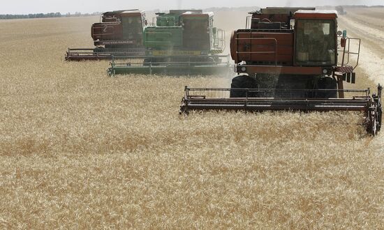 Harvest of grain crops in Rostov Region
