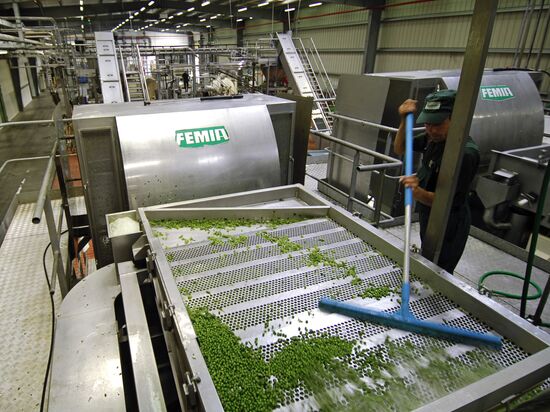 Bonduelle-Kuban. Canned food production