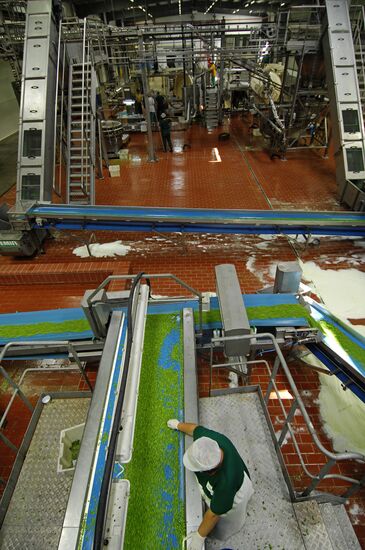 Bonduelle-Kuban. Canned food production