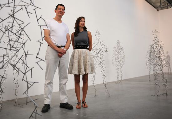Press-show of Antony Gormley's Domain Field project