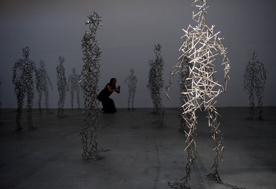 Press-show of Antony Gormley's Domain Field project