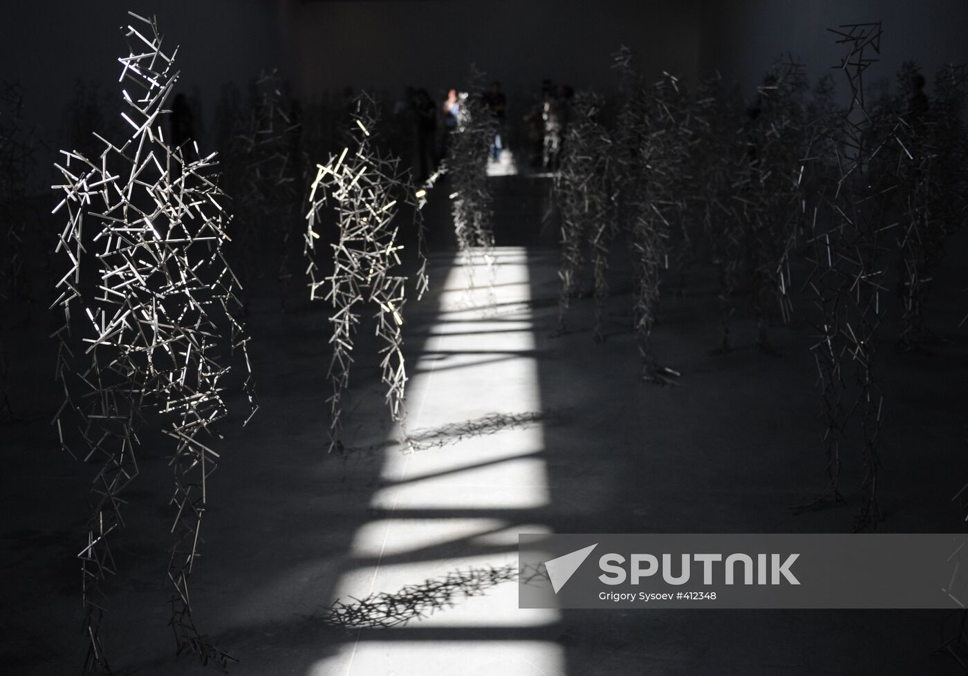 Press-show of Antony Gormley's Domain Field project