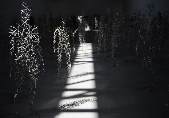 Press-show of Antony Gormley's Domain Field project