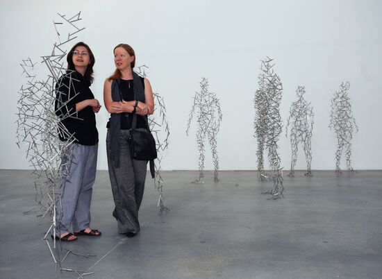 Press-show of Antony Gormley's Domain Field project