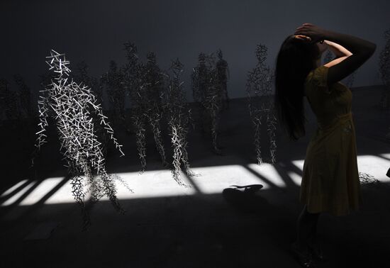 Press-show of Antony Gormley's Domain Field project