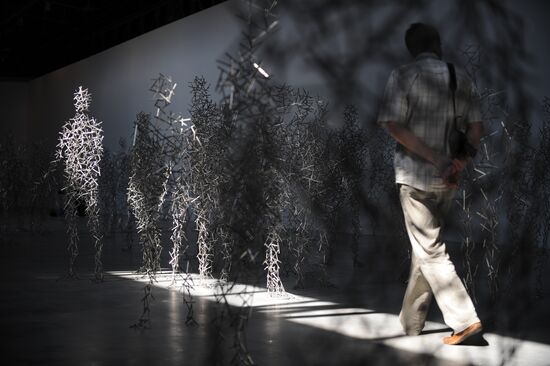 Press-show of Antony Gormley's Domain Field project