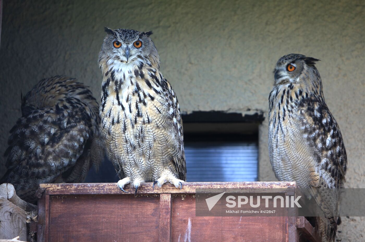 'Sparrows' bird park in Russia's Kaluga Region