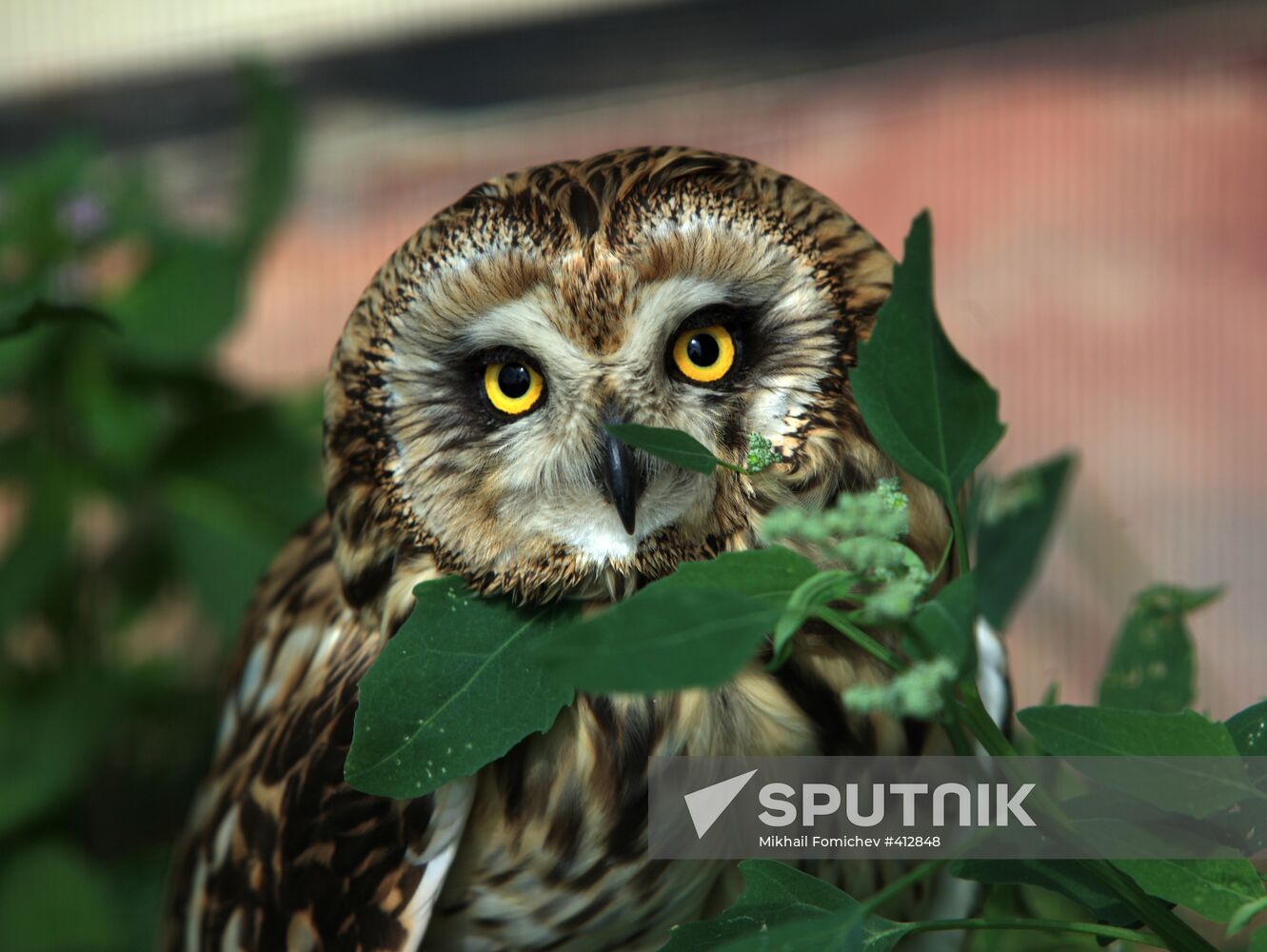 'Sparrows' bird park in Russia's Kaluga Region