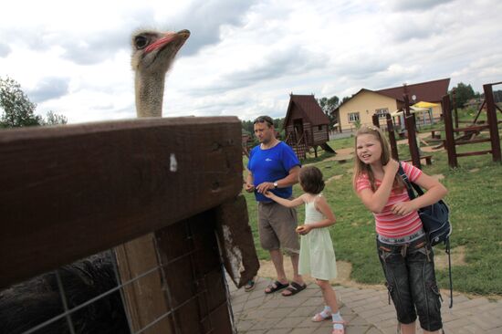 'Sparrows' bird park in Russia's Kaluga Region