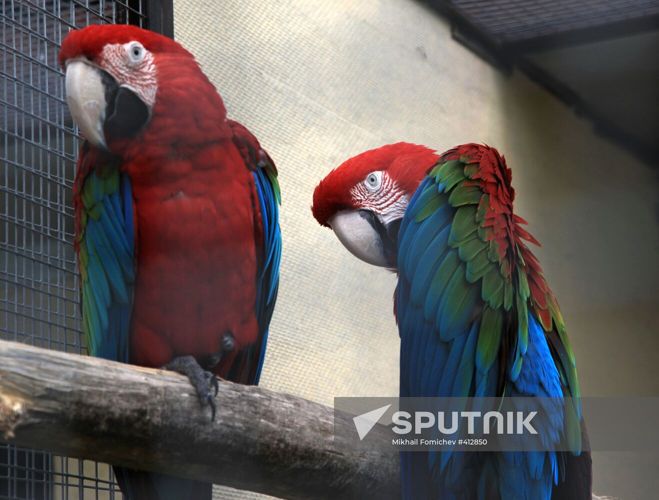 'Sparrows' bird park in Russia's Kaluga Region