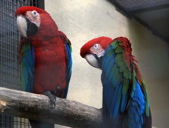 'Sparrows' bird park in Russia's Kaluga Region