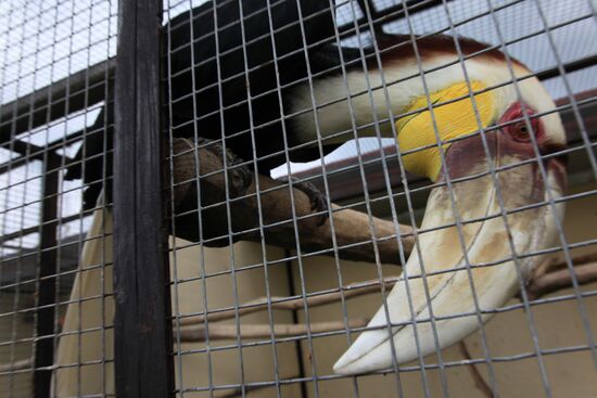 'Sparrows' bird park in Russia's Kaluga Region
