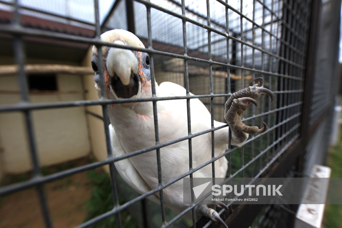 'Sparrows' bird park in Russia's Kaluga Region