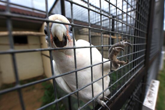 'Sparrows' bird park in Russia's Kaluga Region