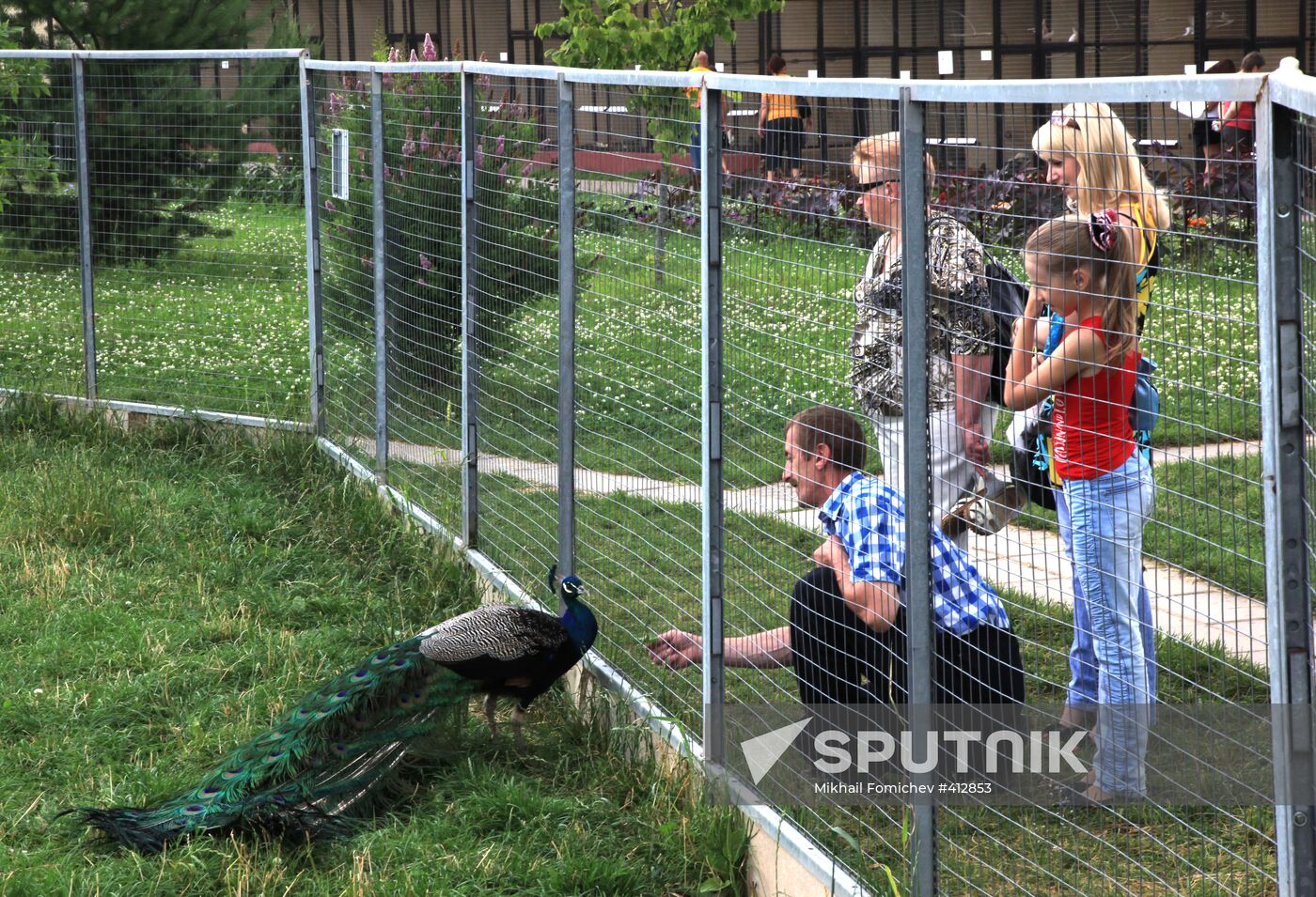 'Sparrows' bird park in Russia's Kaluga Region