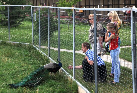 'Sparrows' bird park in Russia's Kaluga Region