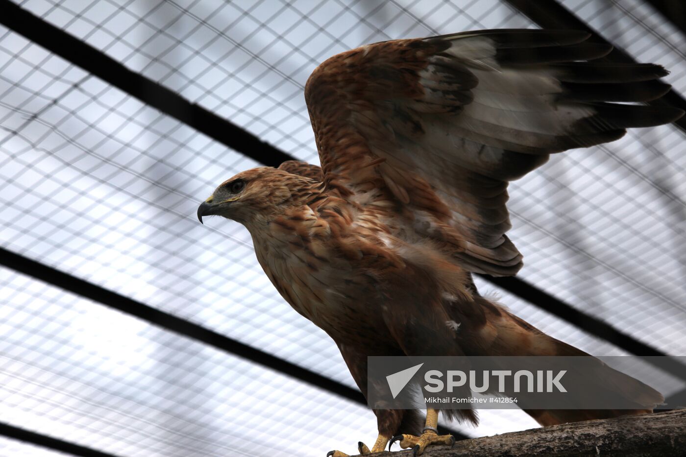 'Sparrows' bird park in Russia's Kaluga Region