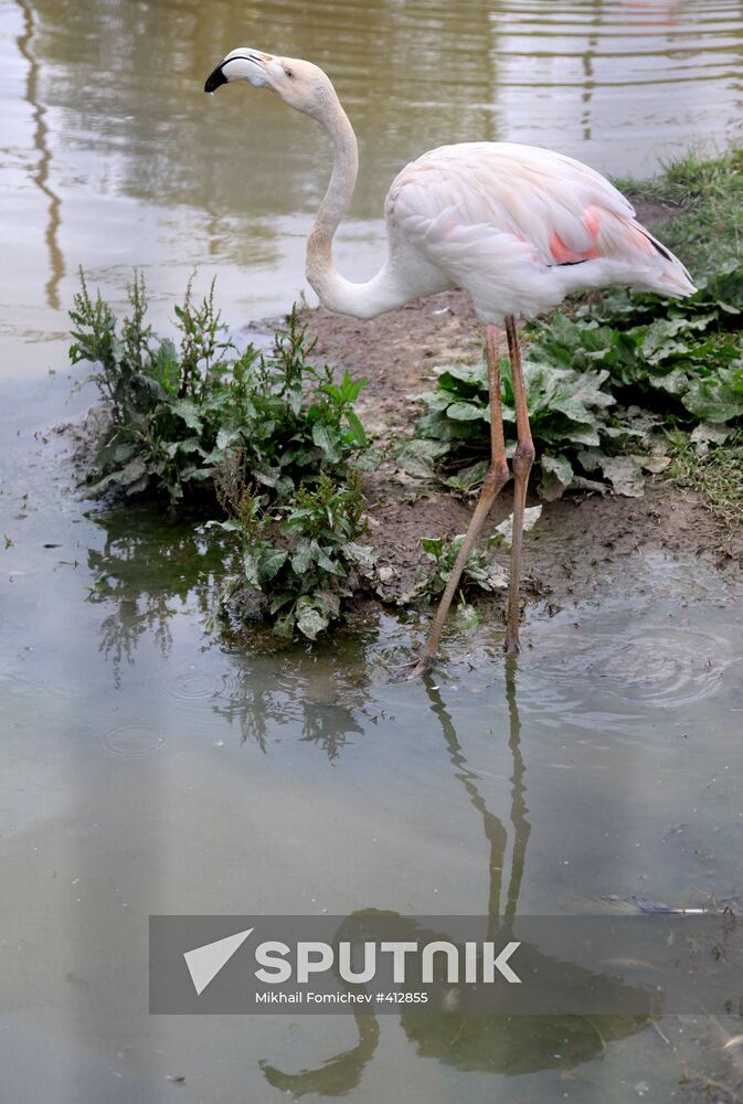 'Sparrows' bird park in Russia's Kaluga Region