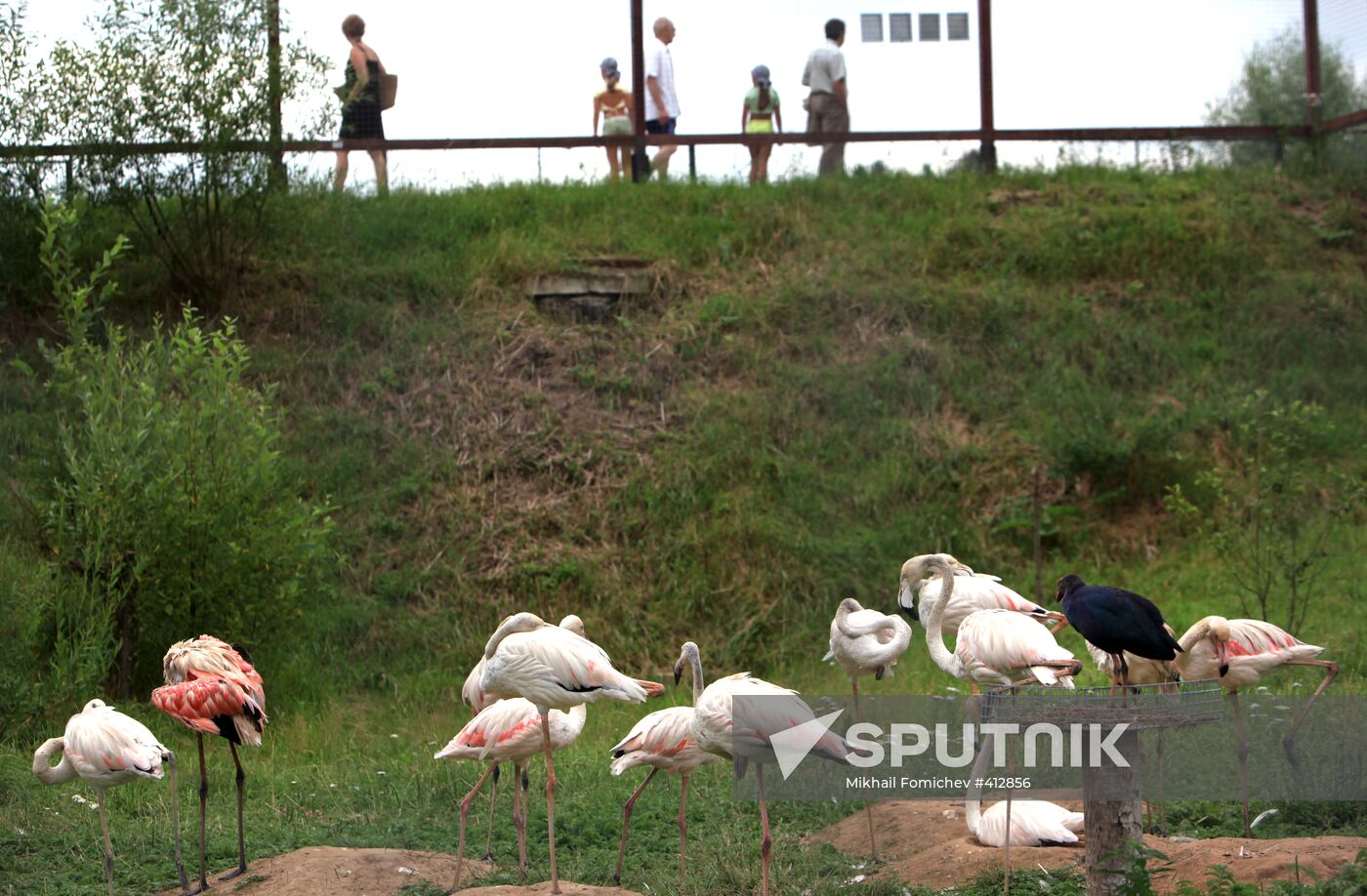 'Sparrows' bird park in Russia's Kaluga Region
