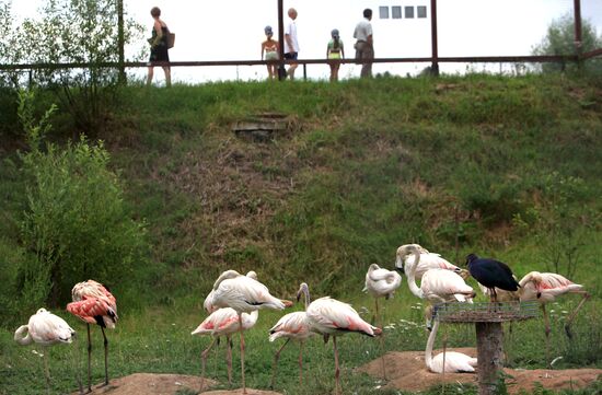 'Sparrows' bird park in Russia's Kaluga Region