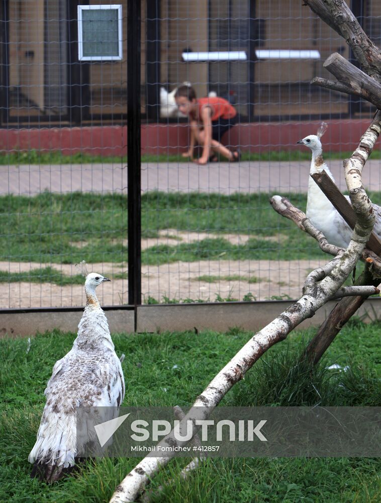 'Sparrows' bird park in Russia's Kaluga Region