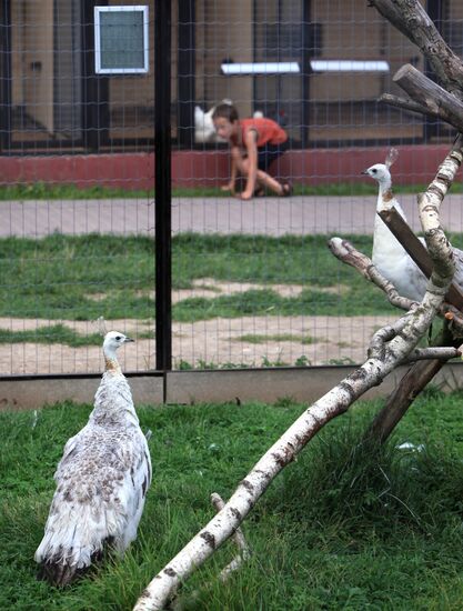 'Sparrows' bird park in Russia's Kaluga Region
