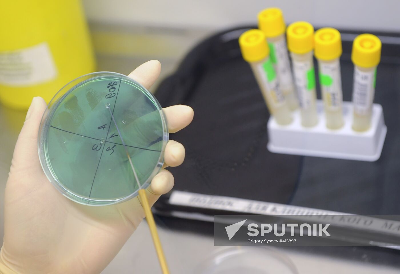 Invitro Laboratory