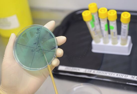 Invitro Laboratory