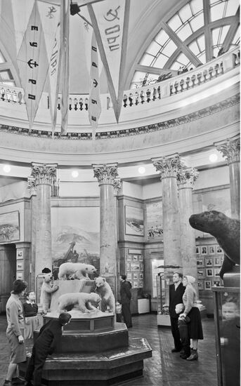 Arctic and Antarctic Museum