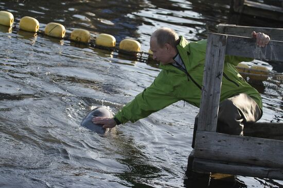 Vladimir Putin visits Far Eastern Federal District