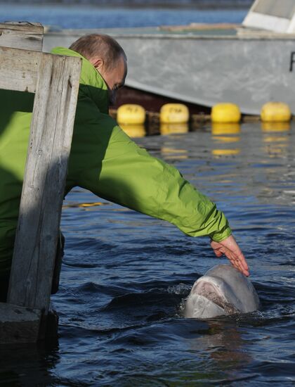 Vladimir Putin visits Far Eastern Federal District