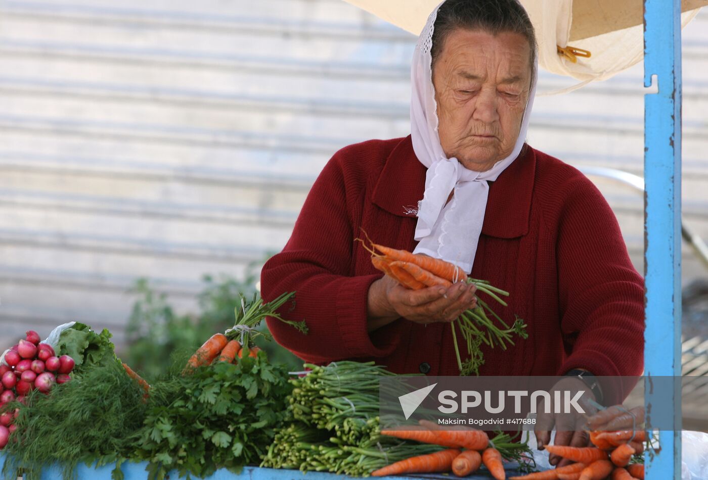 Central Farmers Market in Kazan