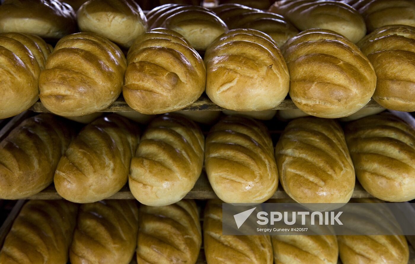 Zvenigorod bakery plant